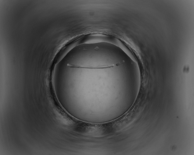 X0000101960107200807181050