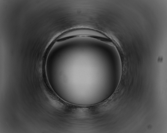 X0000101960108200807181050