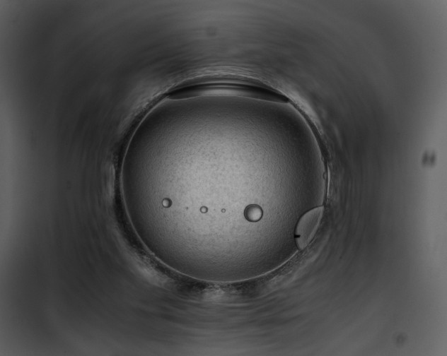 X0000101960109200807181050