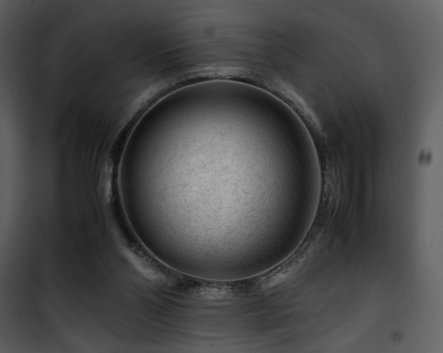 X0000101960110200807181050