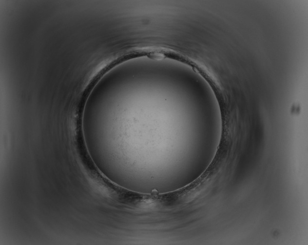 X0000101960111200807181050