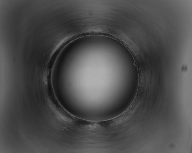 X0000101960112200807181050