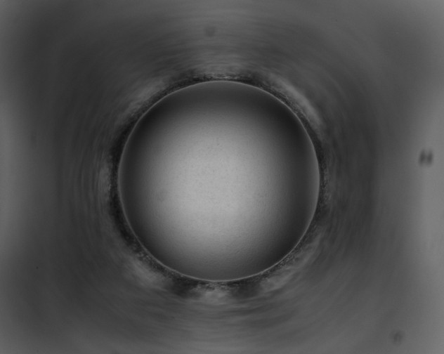 X0000101960113200807181050