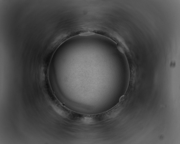 X0000101960114200807181050