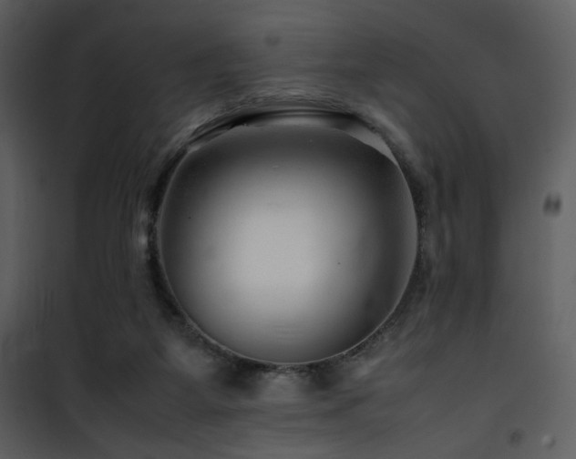 X0000101960115200807181050