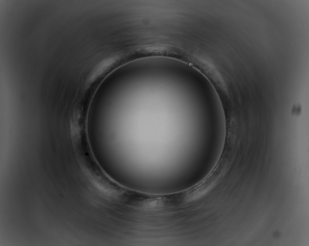 X0000101960116200807181050