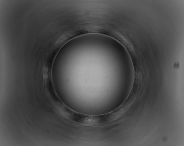 X0000101960117200807181050