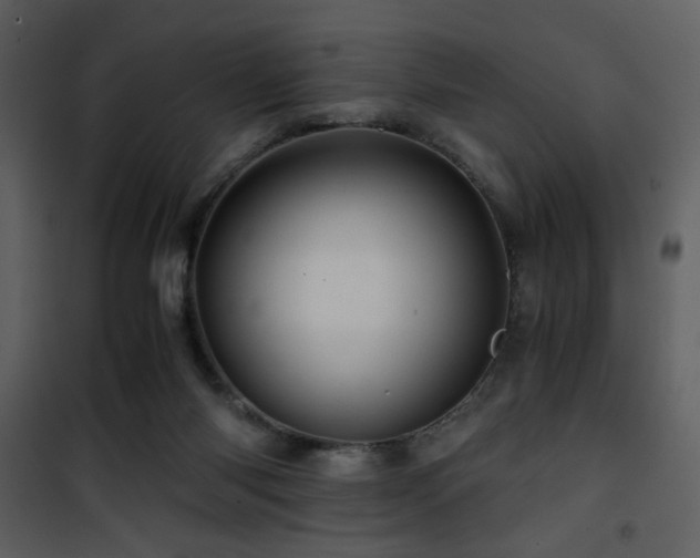 X0000101960118200807181050