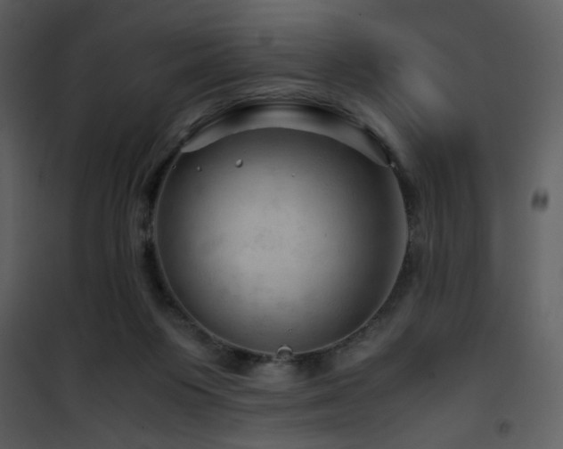 X0000101960119200807181050