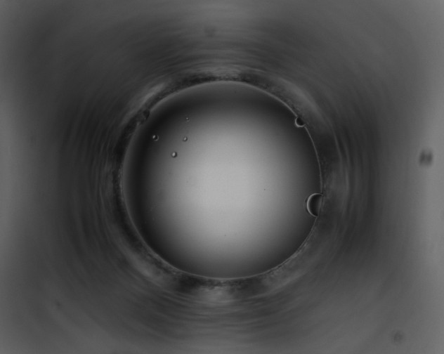 X0000101960120200807181050