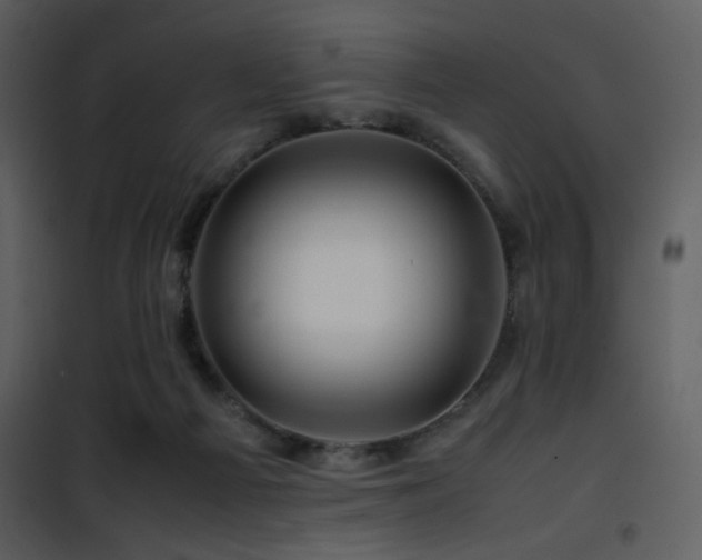 X0000101960121200807181050