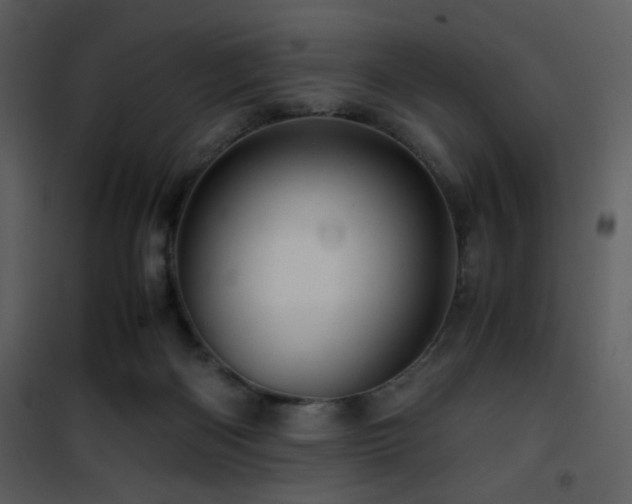 X0000101960122200807181050