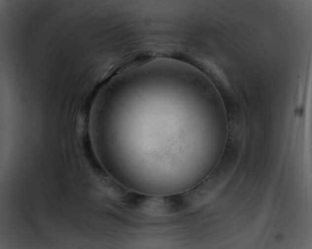 X0000101960123200807181050