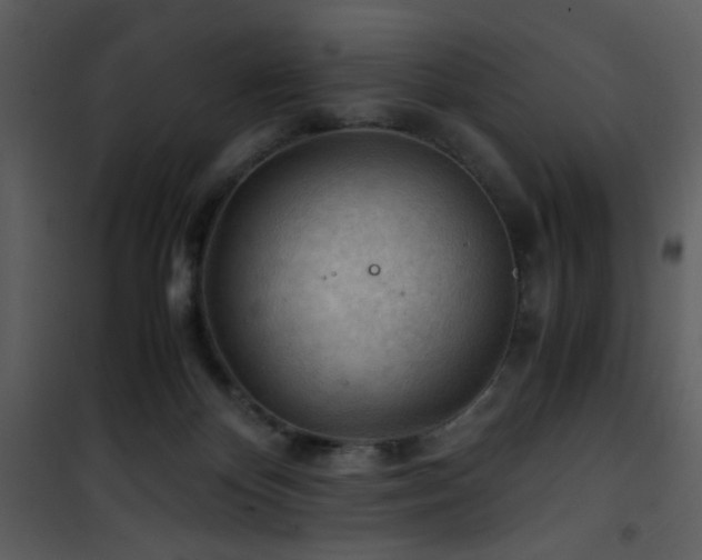 X0000101960124200807181050