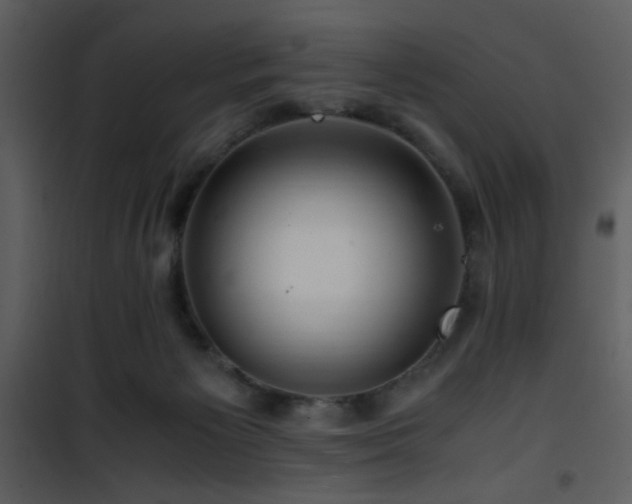 X0000101960125200807181050