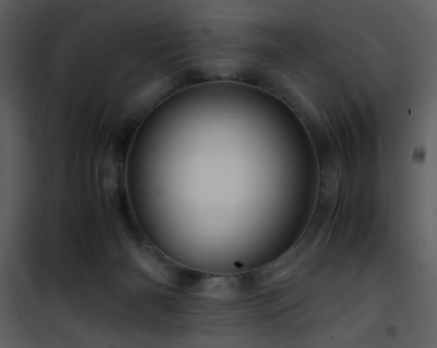 X0000101960126200807181050