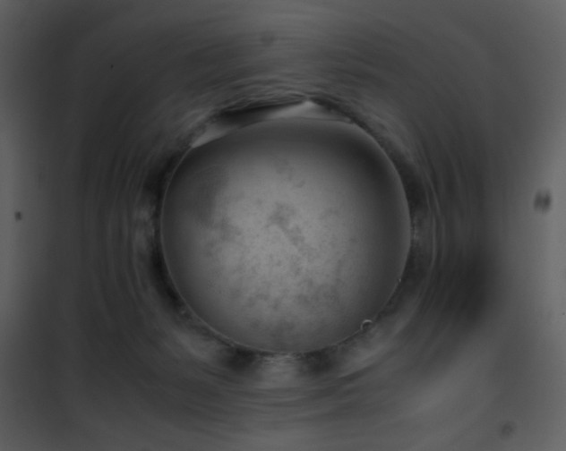 X0000101960127200807181050