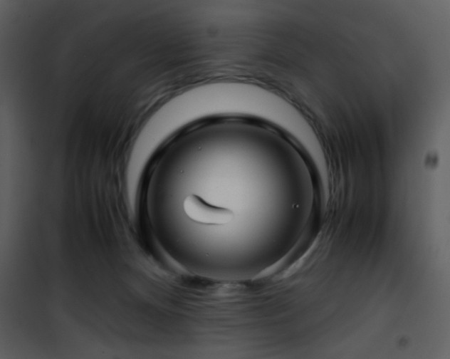 X0000101960128200807181050