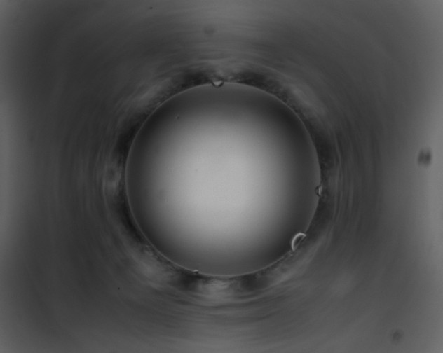 X0000101960129200807181050