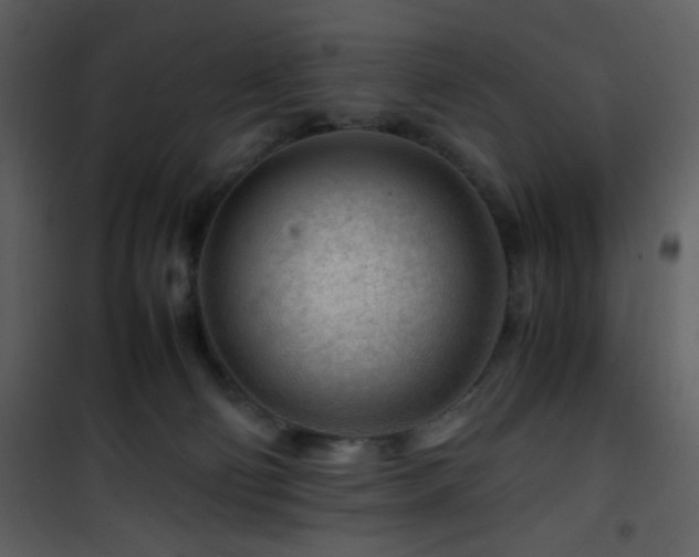 X0000101960130200807181050