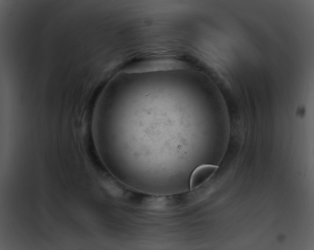 X0000101960131200807181050