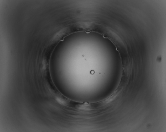 X0000101960132200807181050