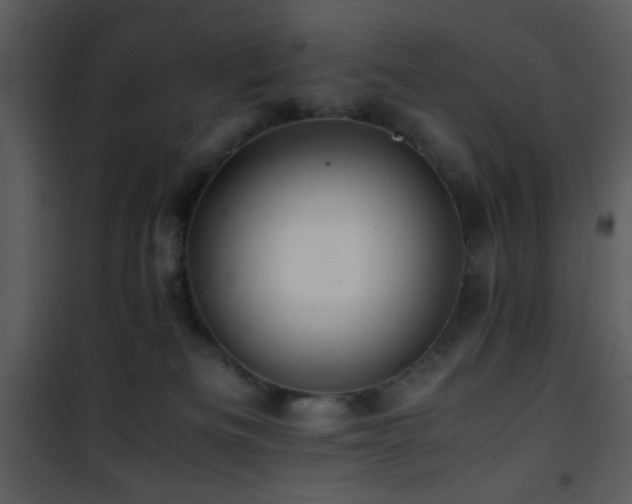 X0000101960133200807181050