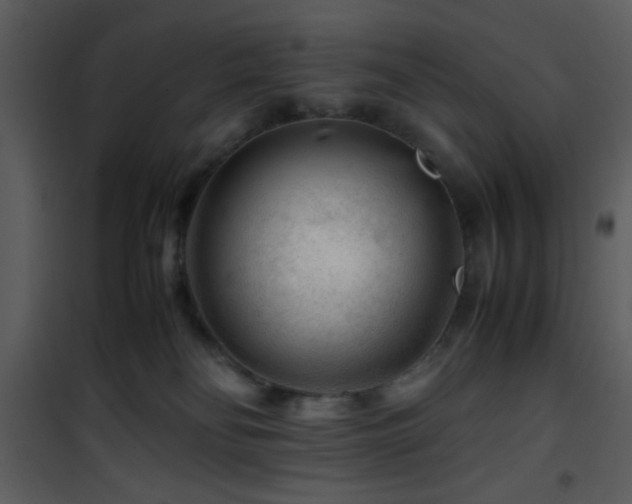 X0000101960134200807181050