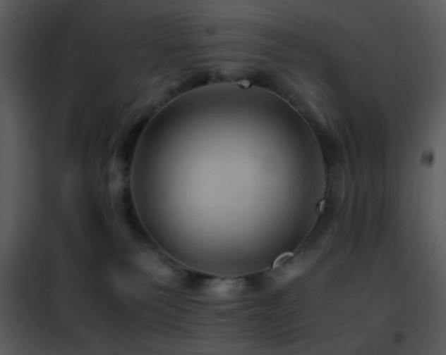 X0000101960135200807181050