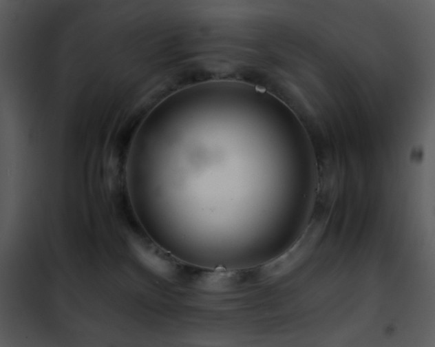 X0000101960136200807181050