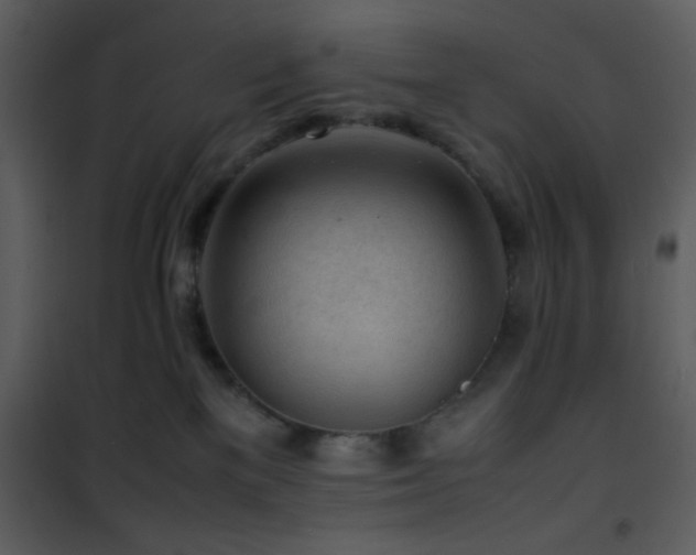 X0000101960137200807181050