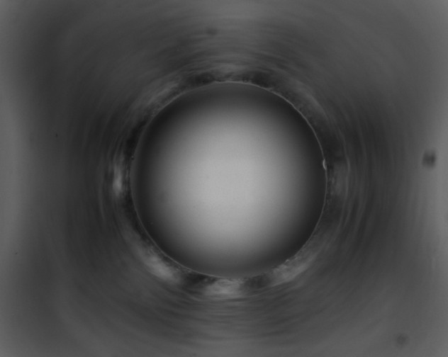 X0000101960138200807181050