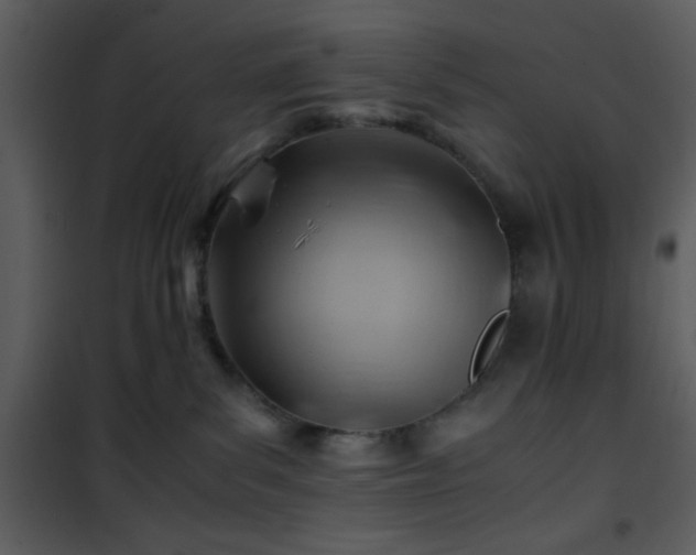 X0000101960139200807181050