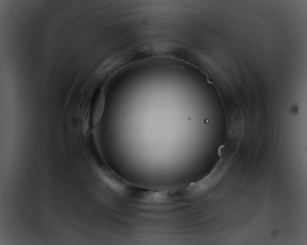 X0000101960140200807181050