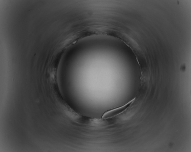 X0000101960141200807181050