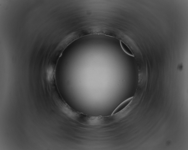 X0000101960142200807181049