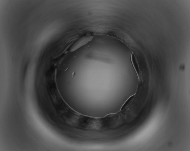 X0000101960143200807181049