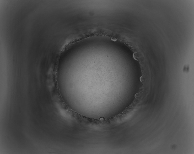 X0000101960144200807181049