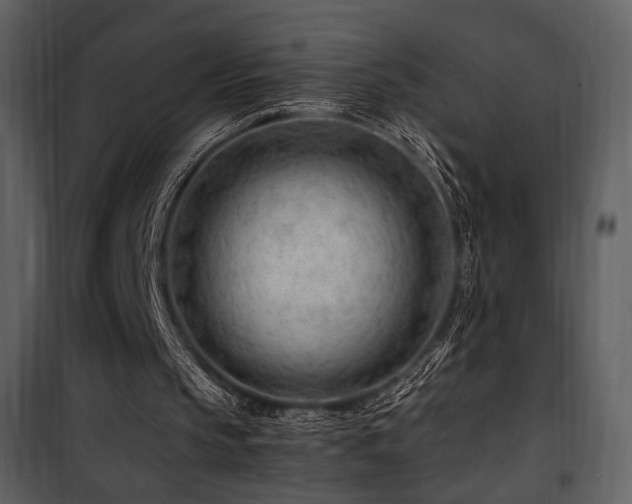 X0000101960145200807181049