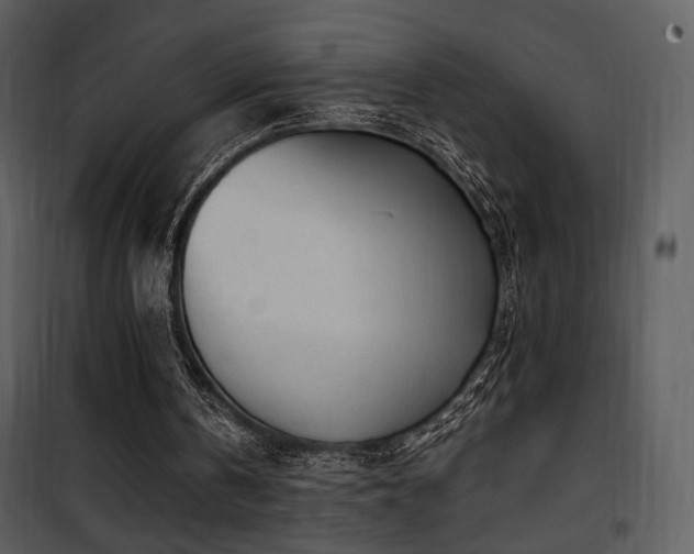 X0000101960146200807181049