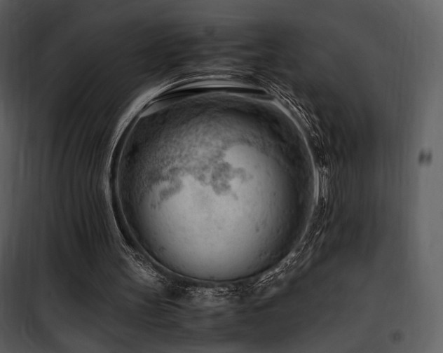 X0000101960147200807181049