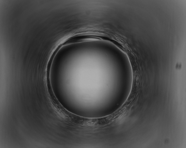 X0000101960148200807181049