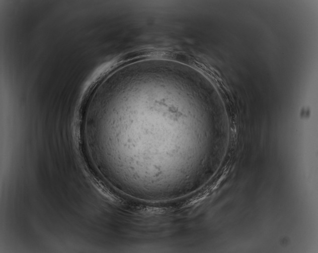 X0000101960149200807181049