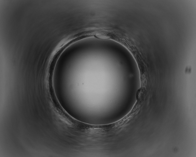 X0000101960150200807181049