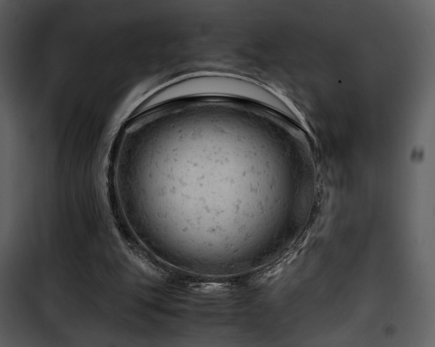 X0000101960151200807181049