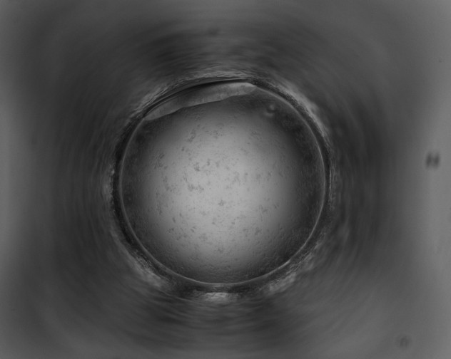 X0000101960153200807181049