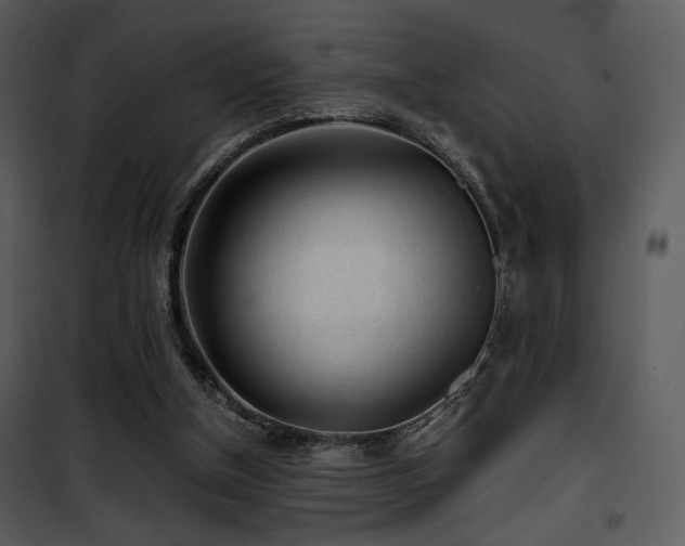 X0000101960154200807181049