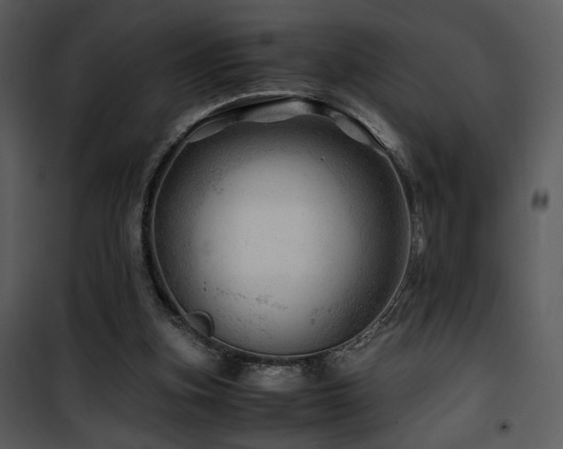 X0000101960155200807181049