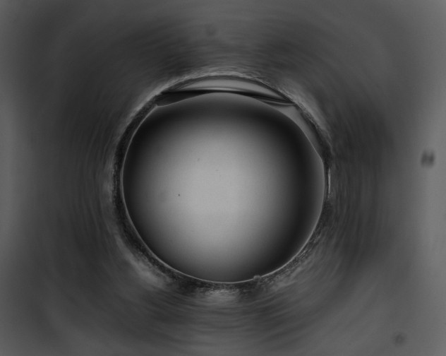 X0000101960156200807181049