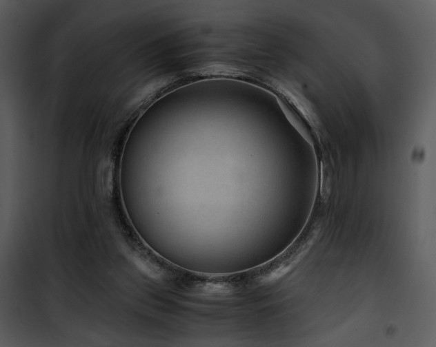 X0000101960157200807181049